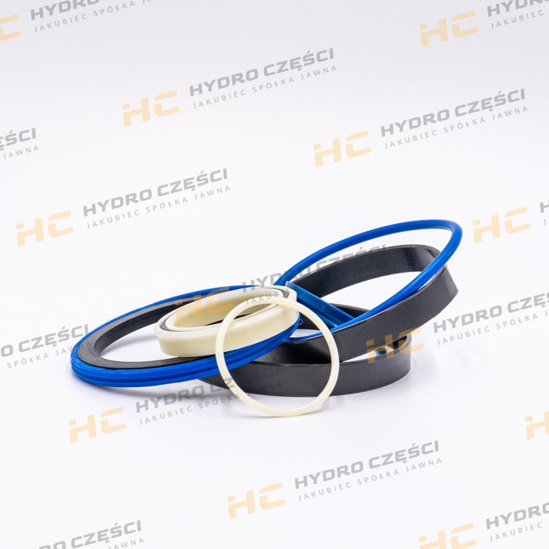 JCB Комплект уплотнений 50x110 - AZERI PARTS