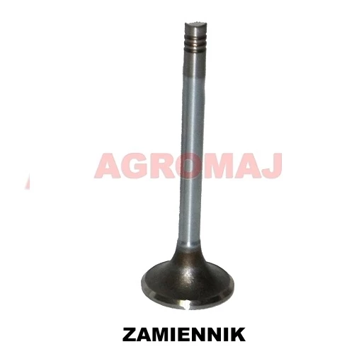 f183200210070-MWM выпускной клапан D226-3 D227-6