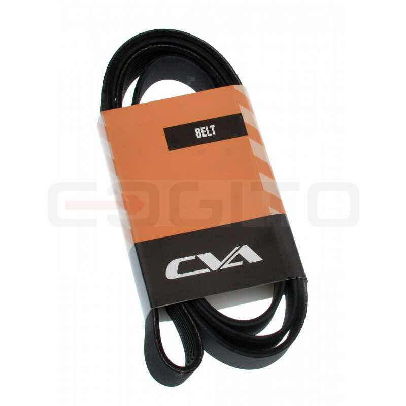 Пасечник белоцветковый CVA